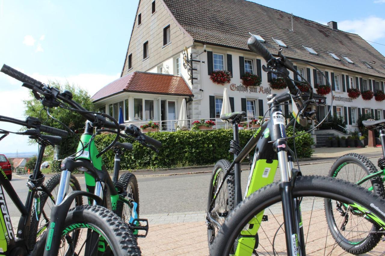 Hotel Roessle Furstenberg  外观 照片