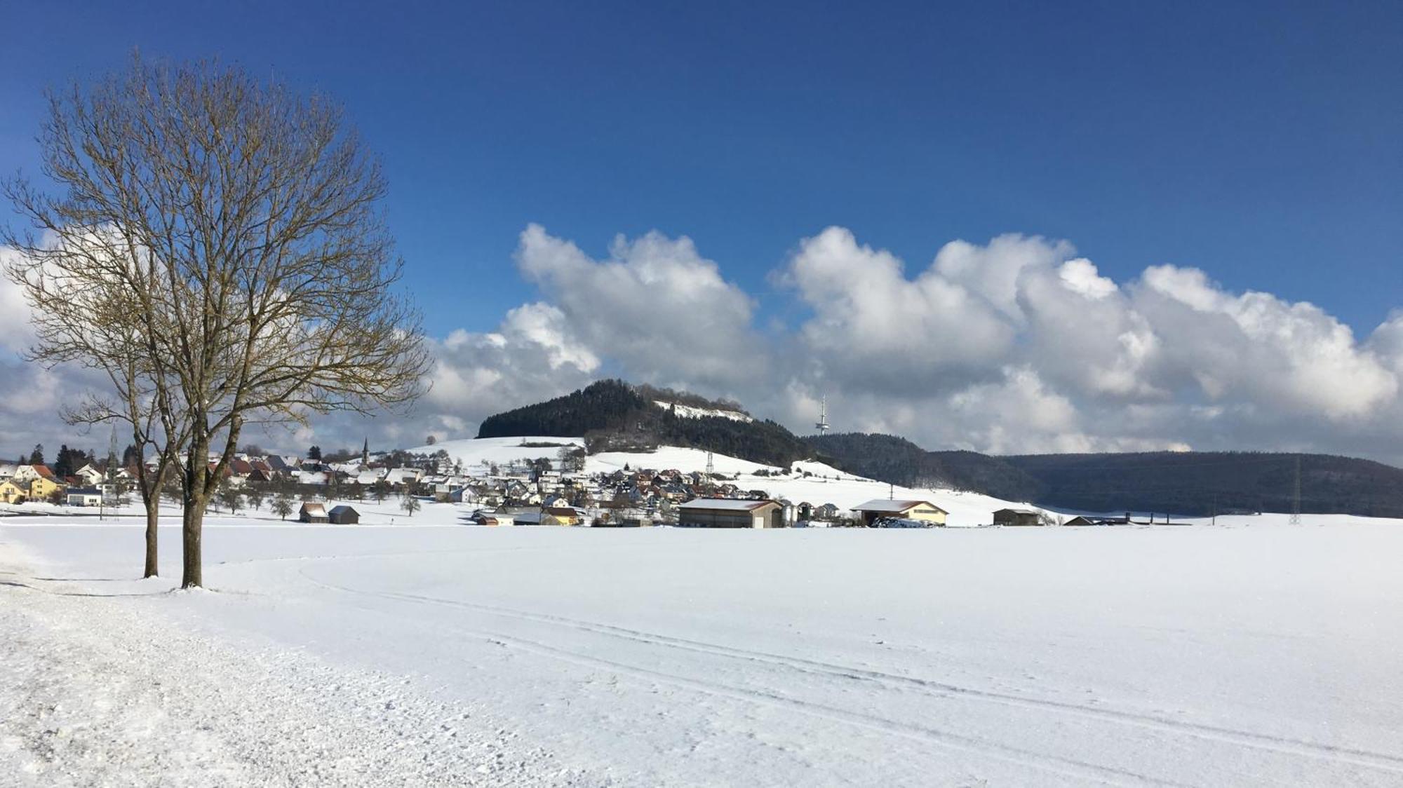 Hotel Roessle Furstenberg  外观 照片
